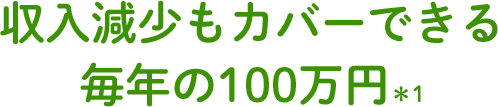 少もカバーできる毎年の100万円＊1